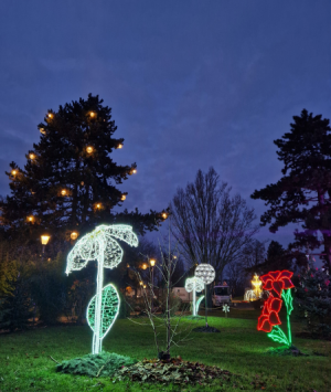 Photos des illuminations décembre 2025