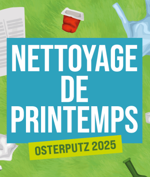 Nettoyage de Printemps