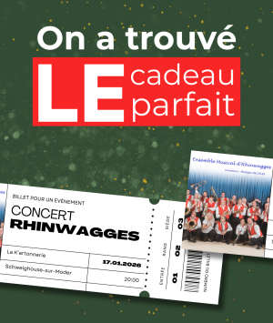 Offrez les RHINWAGGES en concert !